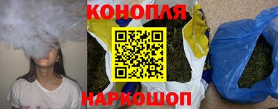 крисы Кулебаки