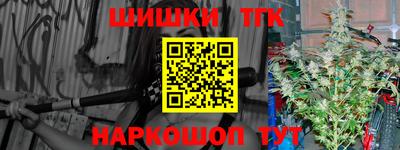 крисы Кулебаки