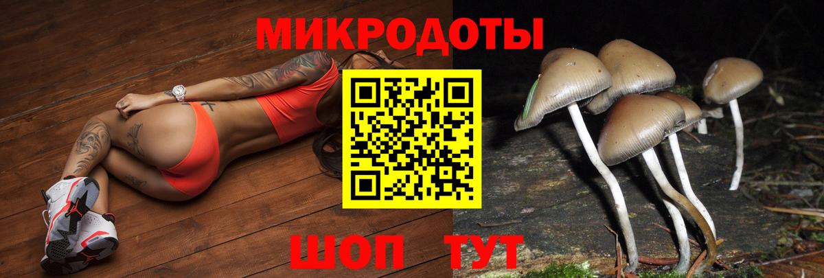 Галлюциногенные грибы Psilocybine cubensis Алапаевск